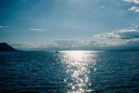 Banner image of FreiheiT1