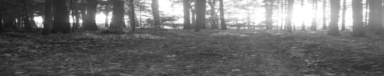 Banner image of think-left