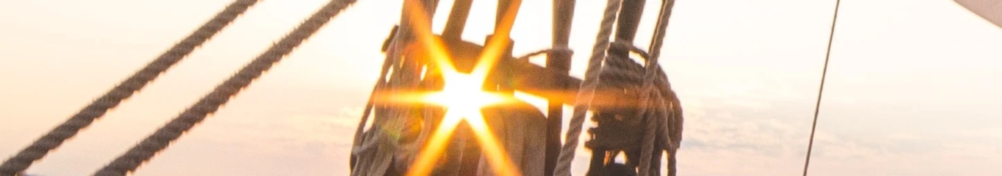 Banner image of Hansen