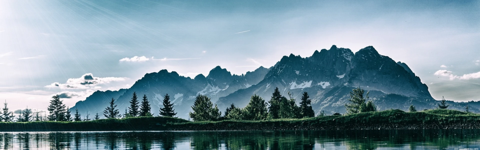 Banner image of Artiga