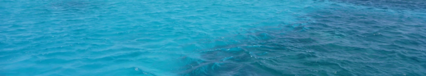 Bannière de Like-A.Fish