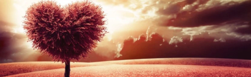 Banner image of SoftWear