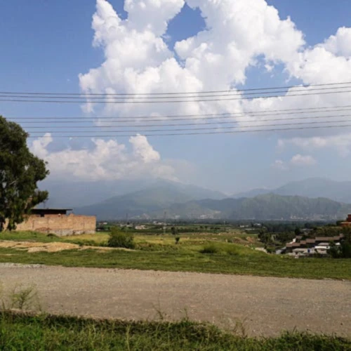 Bannerbild von 116914496