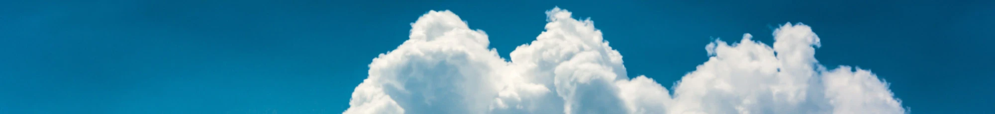 Banner image of sinapsicreative