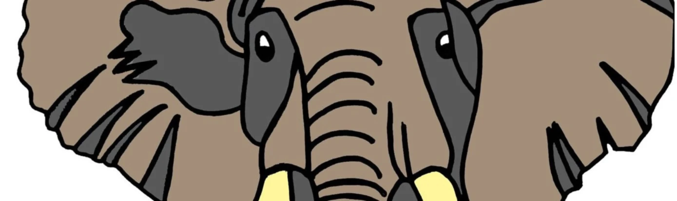 Banner image of TITANA CAM