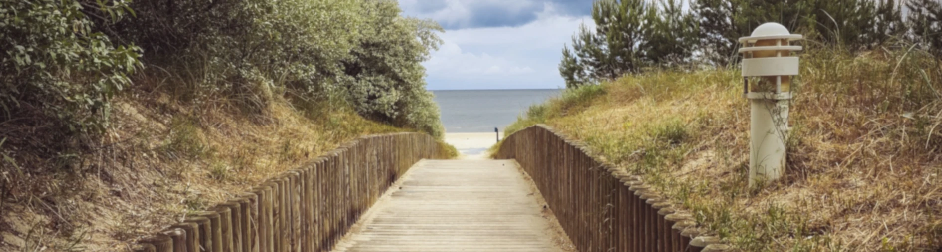 Banner image of Ostseetraum mit Hund