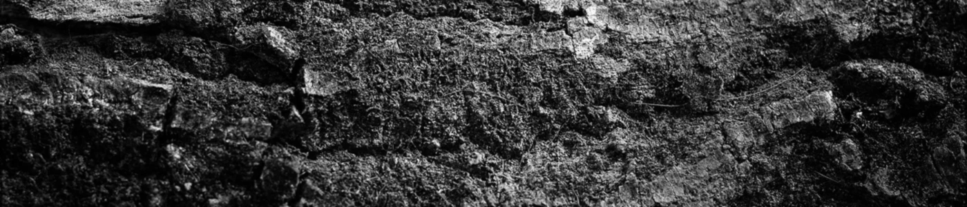 Bannerbild von Snygg Smyck