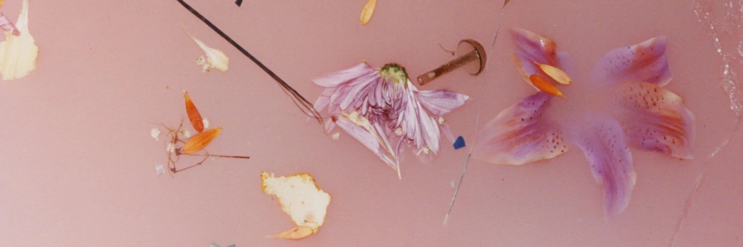 Banner image of merveingerle