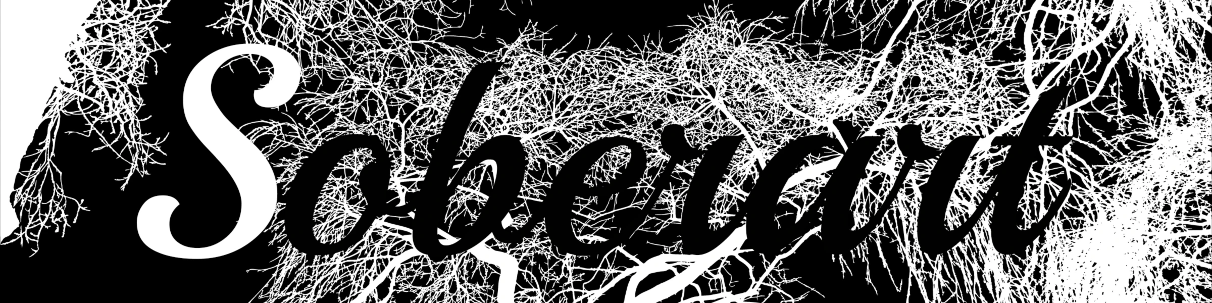 Bannière de soberart