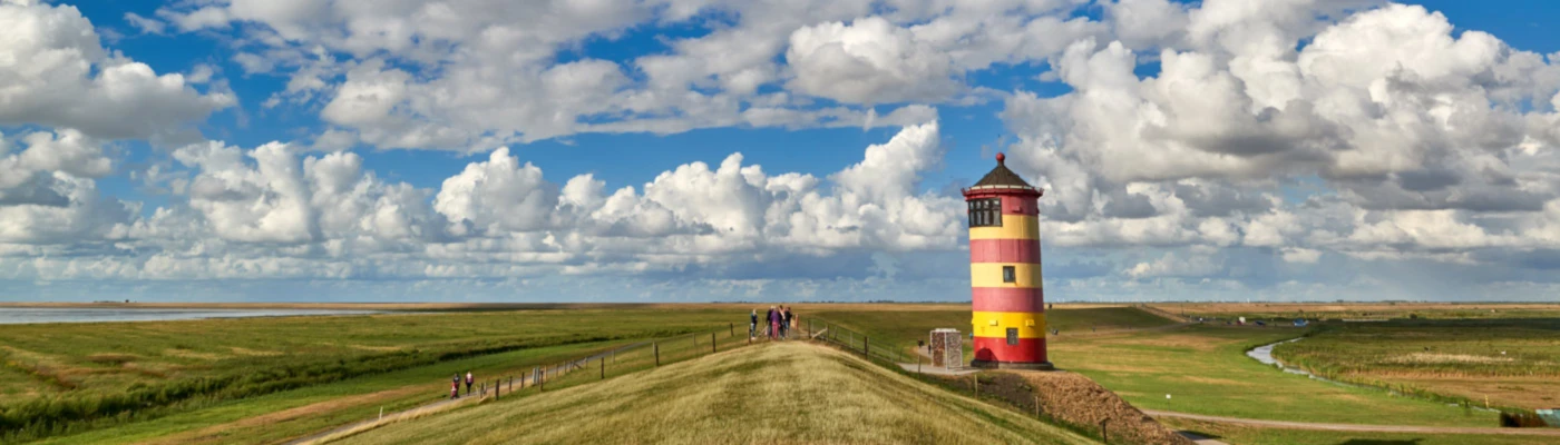 Banner image of 117008625