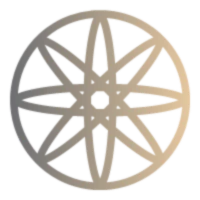 Banner image of 117011866