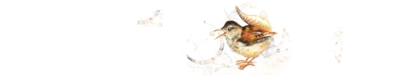 Banner image of Patrizia Ambrosini