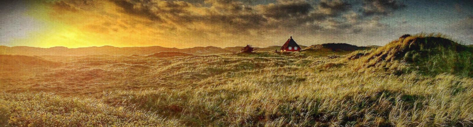 Banner image of shirtmakingboy