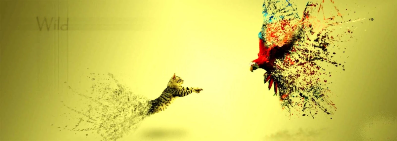 Bannerbild von Soul-T-shirt