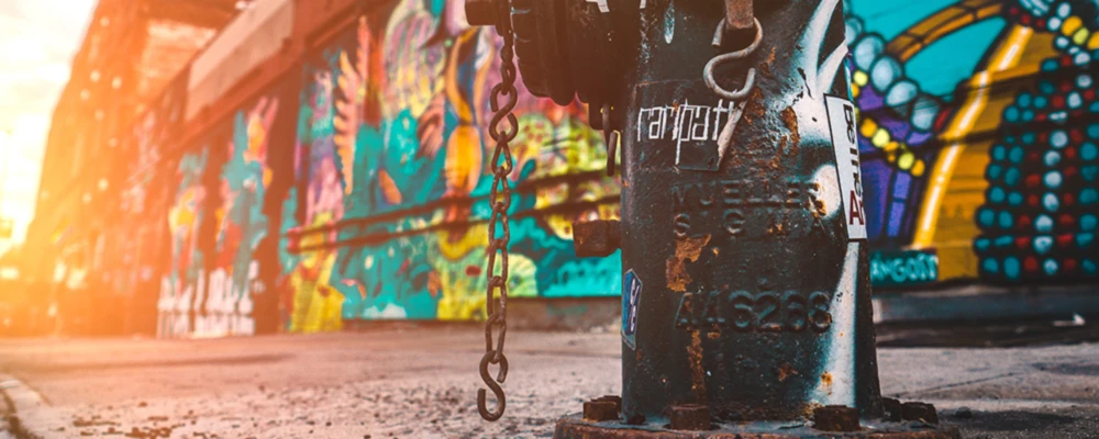 Bannerbild von HARUMOSHI