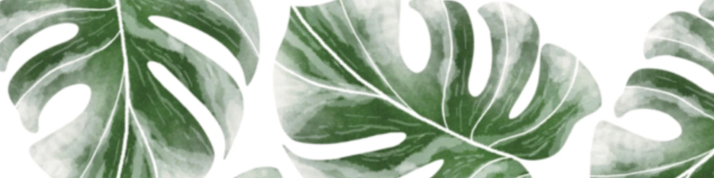 Banner image of Astral