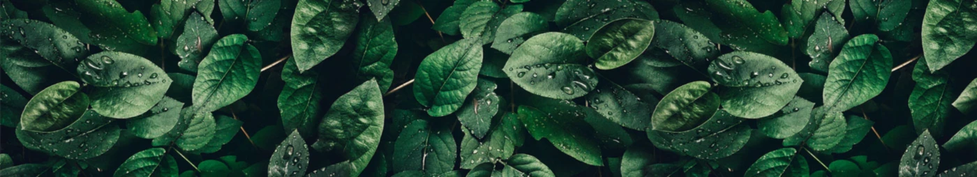 Banner image of milkmymerch