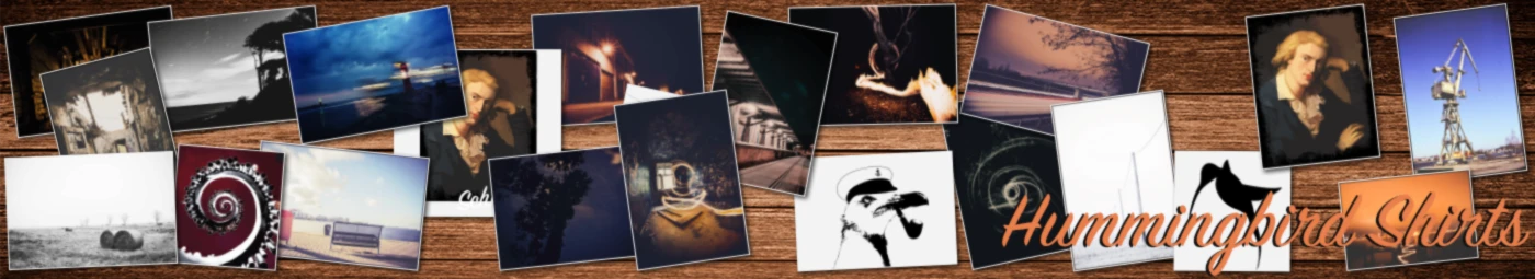 Banner image of HummingbirdShirts