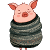 Pig in a Blanket