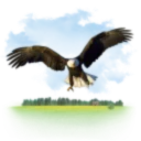 Banner image of MELLALY-SHOP