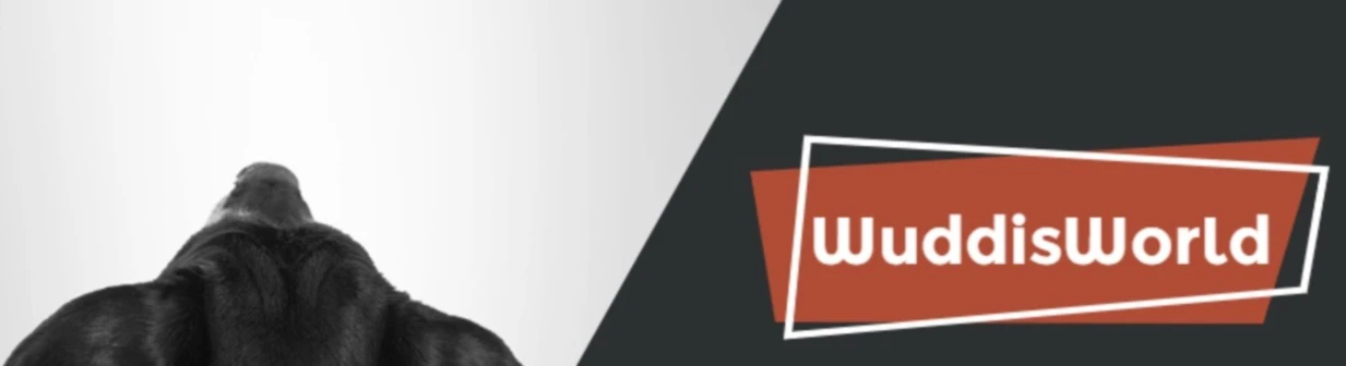 Bannière de WuddiWorld