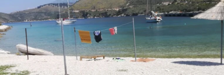 Banner image of 117160480