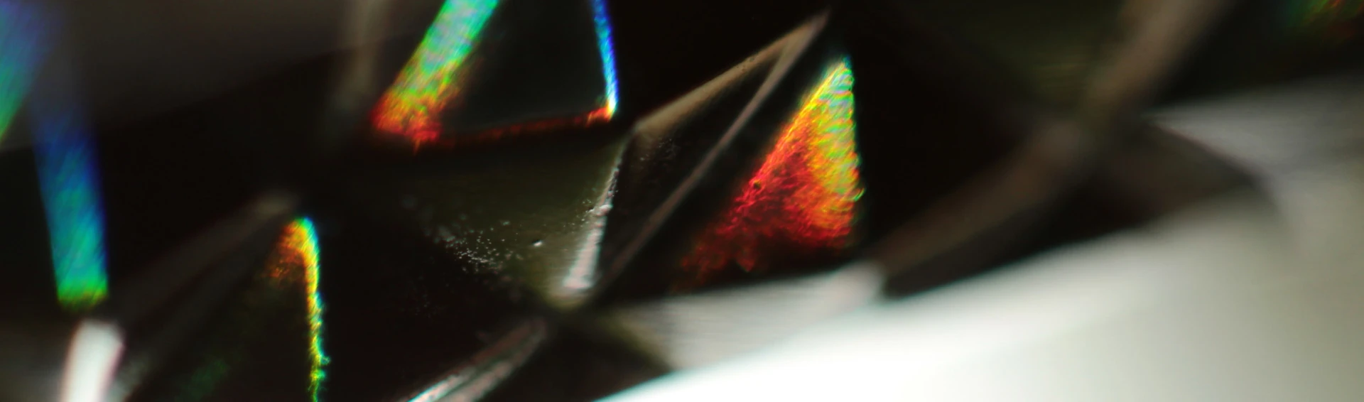 Banner image of Ed ist mutig