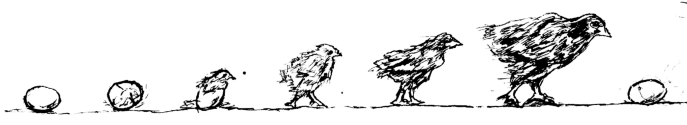 Banner image of dev.ilustration