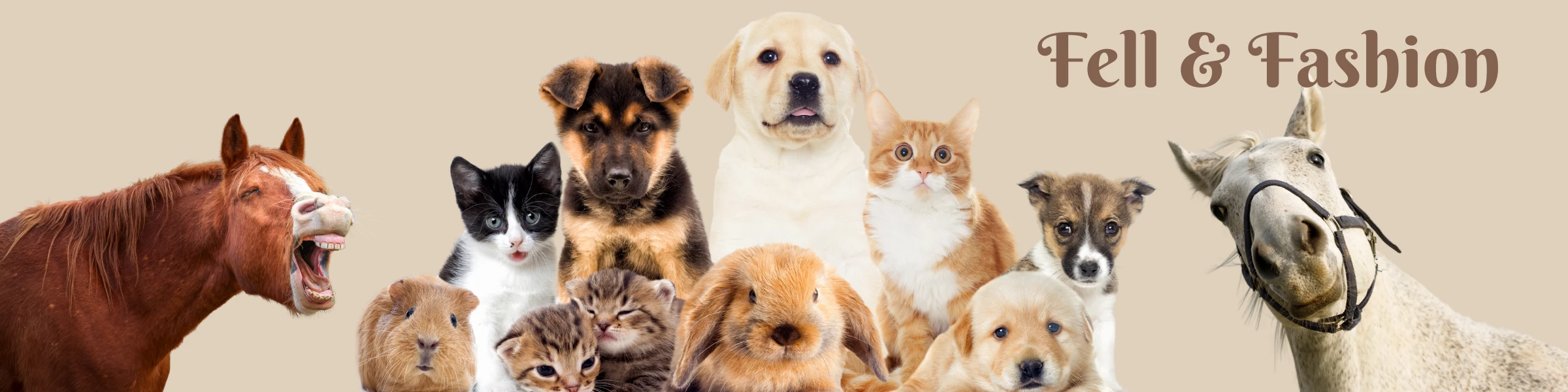 Banner image of Fell and Fashion