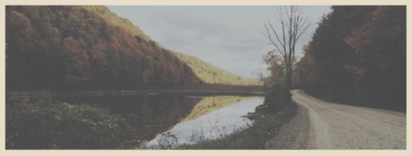 Banner image of 117215356