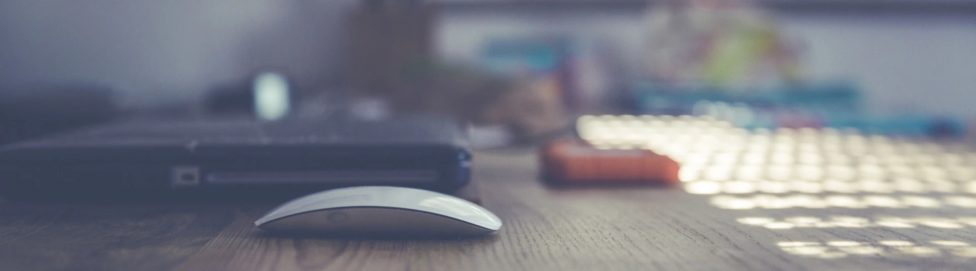 Banner image of lini Design 4 ever