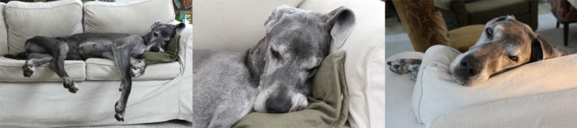 Banner image of Presenttips