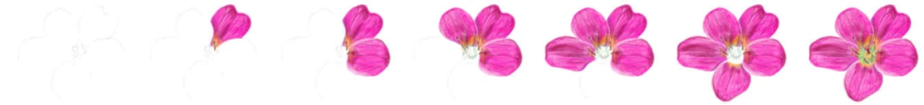 Banner image of Gaillycool