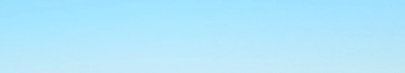 Banner image of E. Schwarz