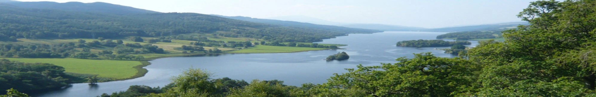 Banner image of Pantser Pan