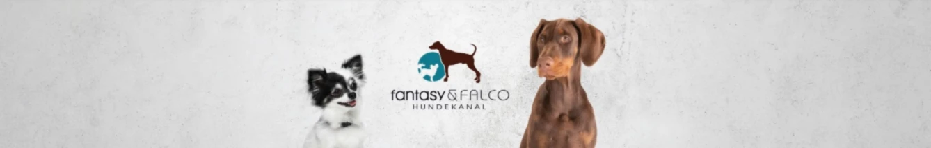 Bannerbild von fantasyundfalco