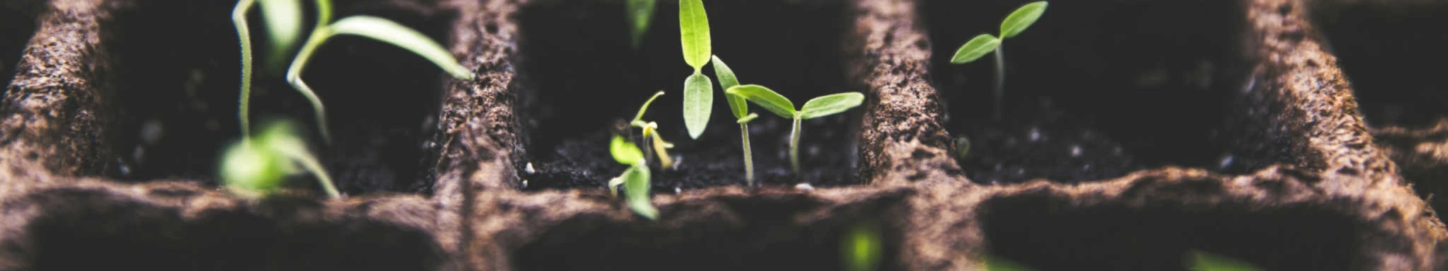 Banner image of MatetvGaming