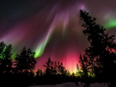 Banner image of Colorix