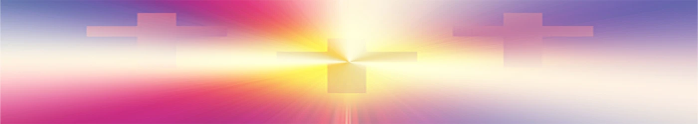 Banner image of AM Photographie