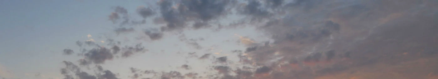 Banner image of Vendelia Travels