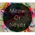 MeowOrNever