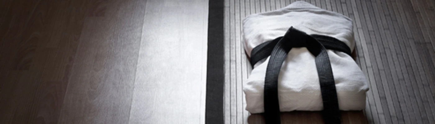 Banner image of Karateprylar