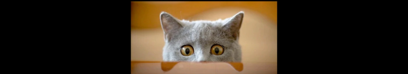 Banner image of Blacklinesw9