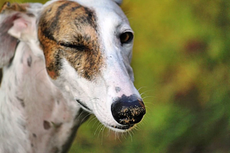 Banner image of Bianca Grueneberg