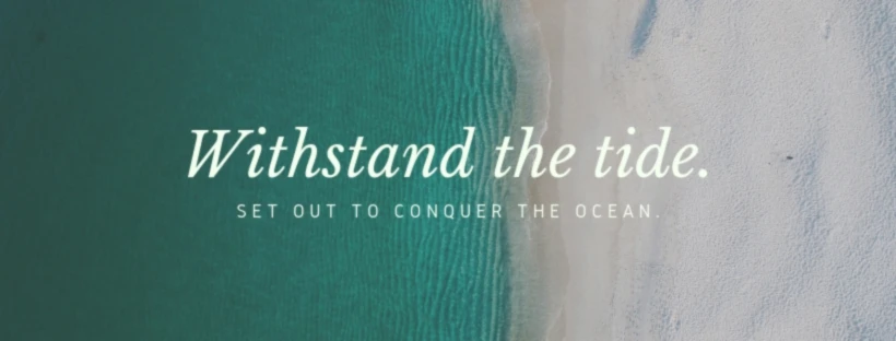 Bannière de chicwievicky