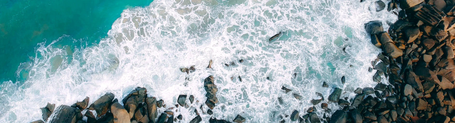 Bannerbild von SurfArt