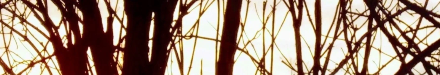 Bannière de Briar Sky