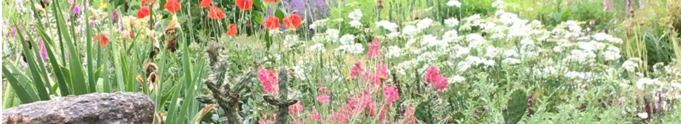 Bannière de Easybee