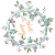 Evyline