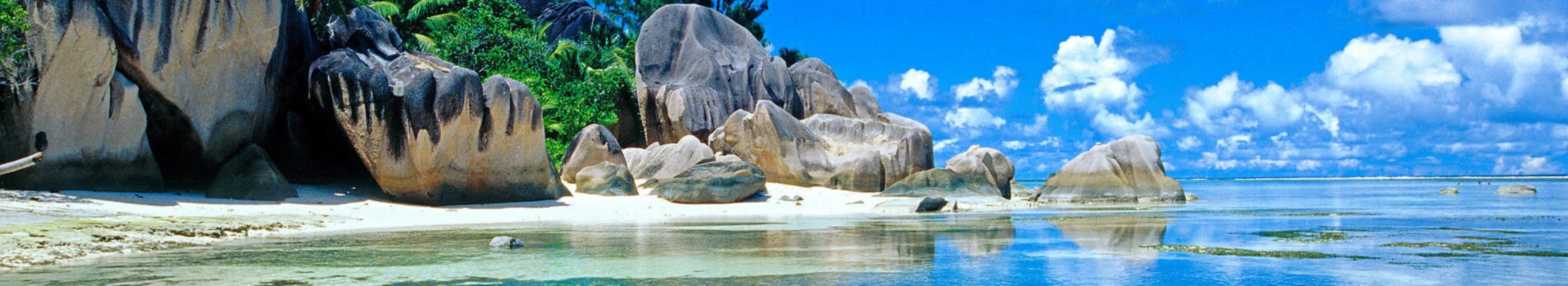 Banner image of DA BRAND